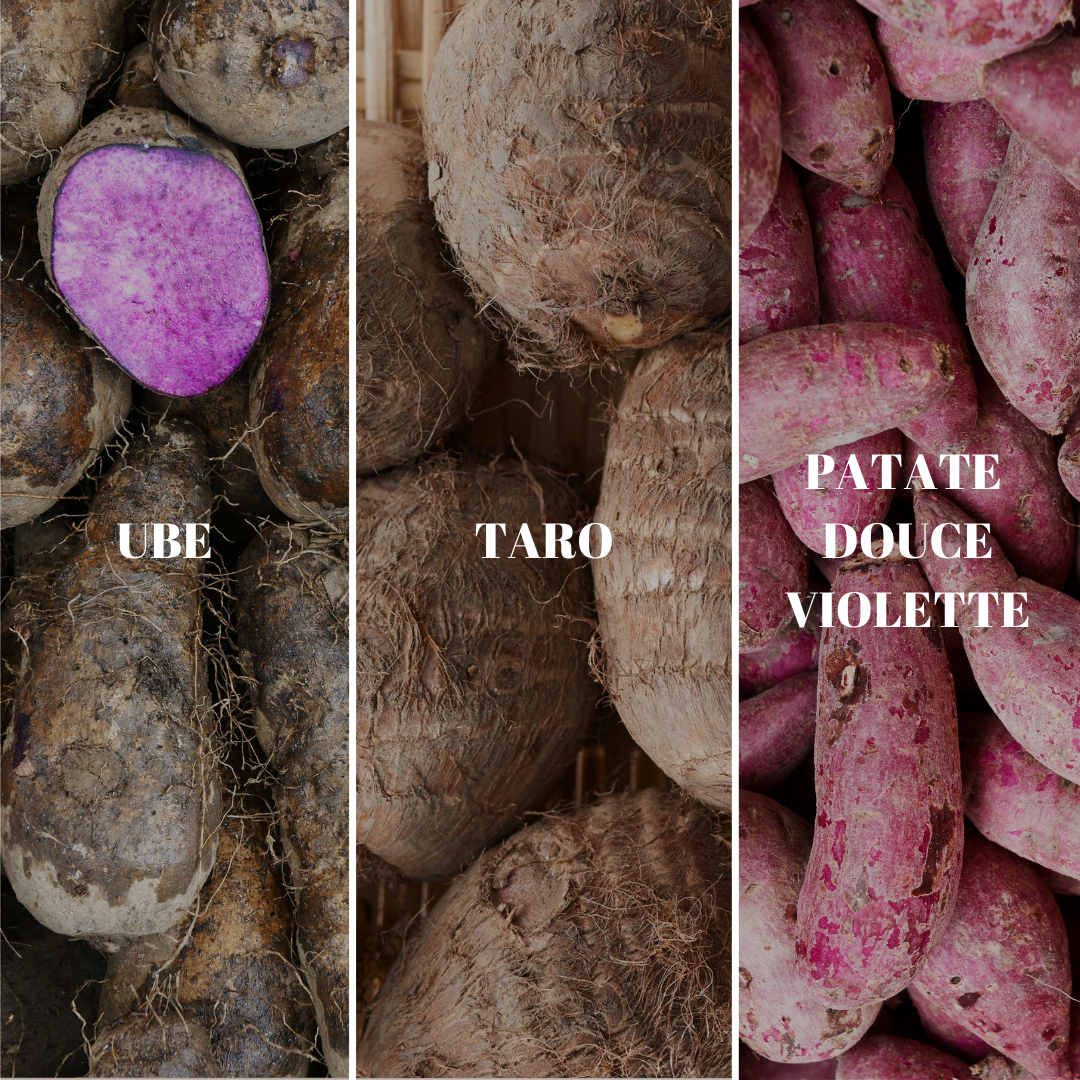 Ube, taro ou patate douce violette:  quelles différences ? Le guide complet